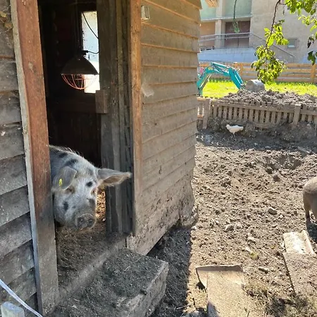 Sotlas Lägenhet Matrei in Osttirol