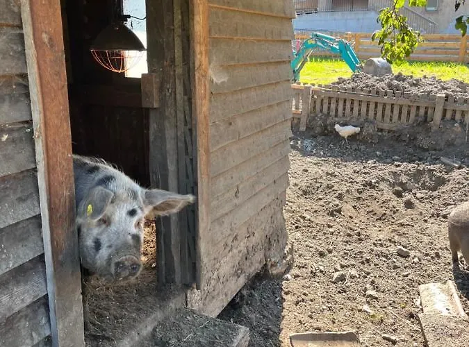 Sotlas Appartamento Matrei in Osttirol