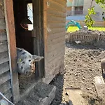 Sotlas Apartamento Matrei in Osttirol